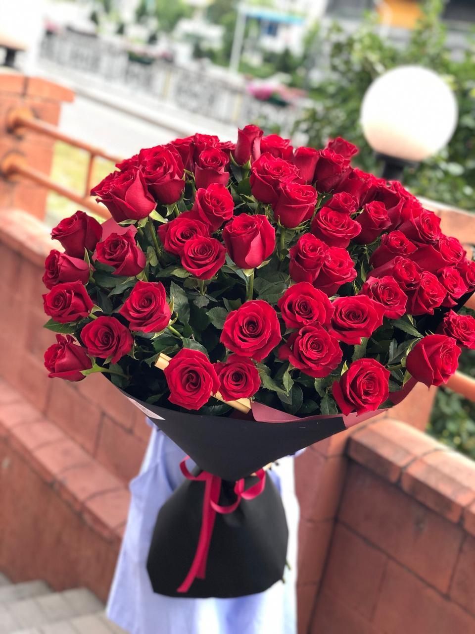 Букет из 51 красной голландской розы