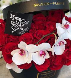 Коробка "25 голландских роз с белой орхидеей"