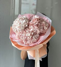 3 нежно-розовые гортензии в оформлении