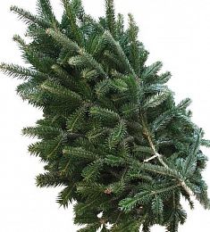 Нобилис - соберите букет