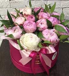 Фирменная коробка MAISON c голландскими пионами