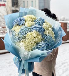Букет из 15 гортензий в небесных оттенках 