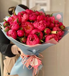 Букет из 51 голландского пиона Coral Charm
